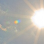 Vitamin D: Das Sonnenhormon