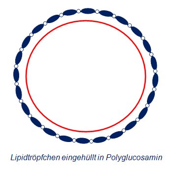 Chitosan Lipidbindung