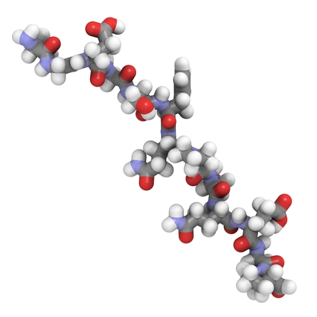 Gliadin-Antikörper