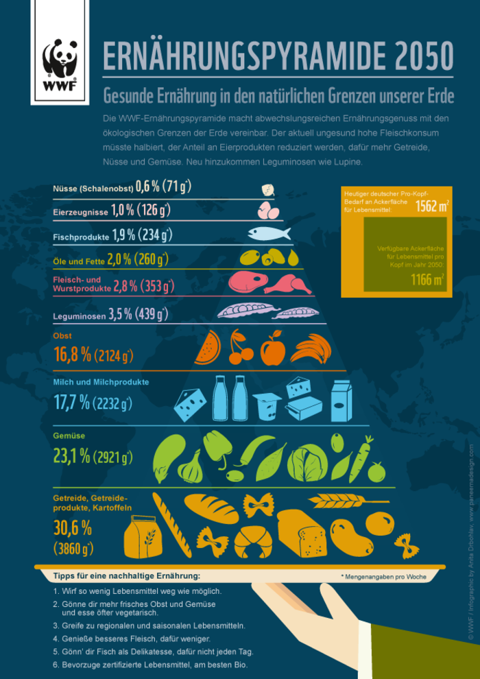 WWF Infografik Ernaehrungspyramide 2050