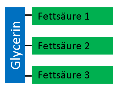 Aufbau Triglyceride
